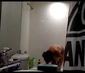 Árabe tetona juega en cámara