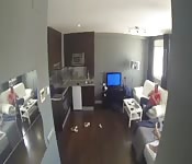 Jovencito follando a una negra gordita