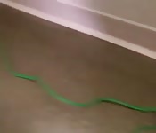 Blistering hot redhead chick in naked action