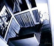 Lovers finger each other