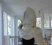 Rabo negro masivo para una caliente árabe