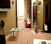 Fiesta Universitaria