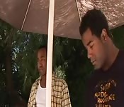 Chica de ébano sin pantalones