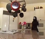 Perfect Peruvian bitch is the maid and sex machine too