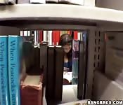 Zorras sexys en la biblioteca